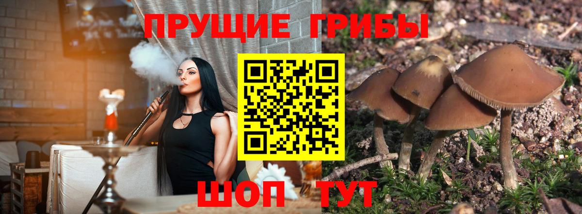 Лесозаводск  Псилоцибиновые грибы MAGIC MUSHROOMS  Вход с VPN  Галлюциногенные грибы прущие грибы 
