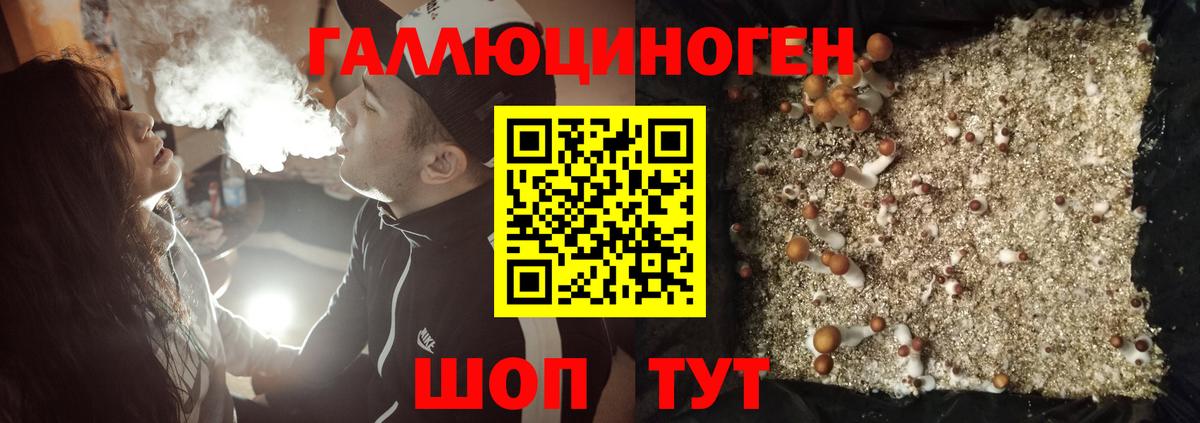 Псилоцибиновые грибы мицелий Лесозаводск